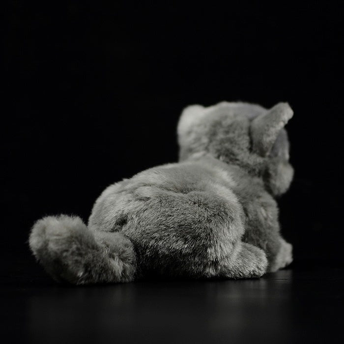 Back view of British Blue Shorthair Cat plush toy featuring a soft and cuddly finish by SoftDaysLab