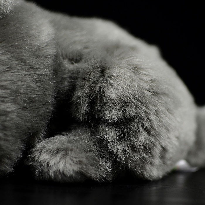 Close-up of British Blue Shorthair Cat plush toy’s fluffy paw, designed for realistic softness by SoftDaysLab