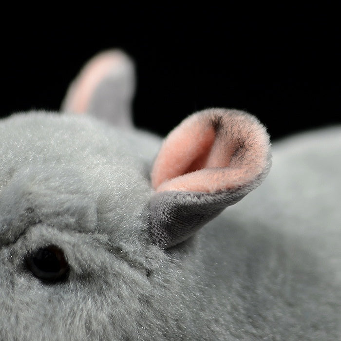 Close-up of a chinchilla plush toy's ears, showcasing its detailed and lifelike design