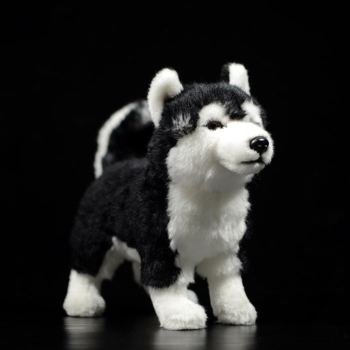 Lifelike Siberian Husky plush toy by SoftDaysLab, featuring a realistic black-and-white design, perfect for dog lovers