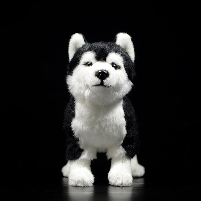 Front view of a Siberian Husky stuffed animal with lifelike details, ideal for collectors and dog enthusiasts