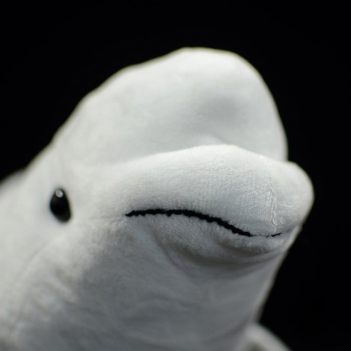 Close-up of a beluga whale plush toy's face, highlighting its adorable smile and lifelike design