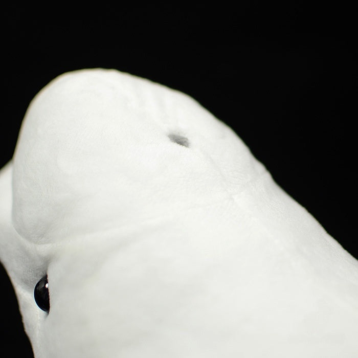Close-up of the beluga whale plush toy's rounded forehead and detailed craftsmanship