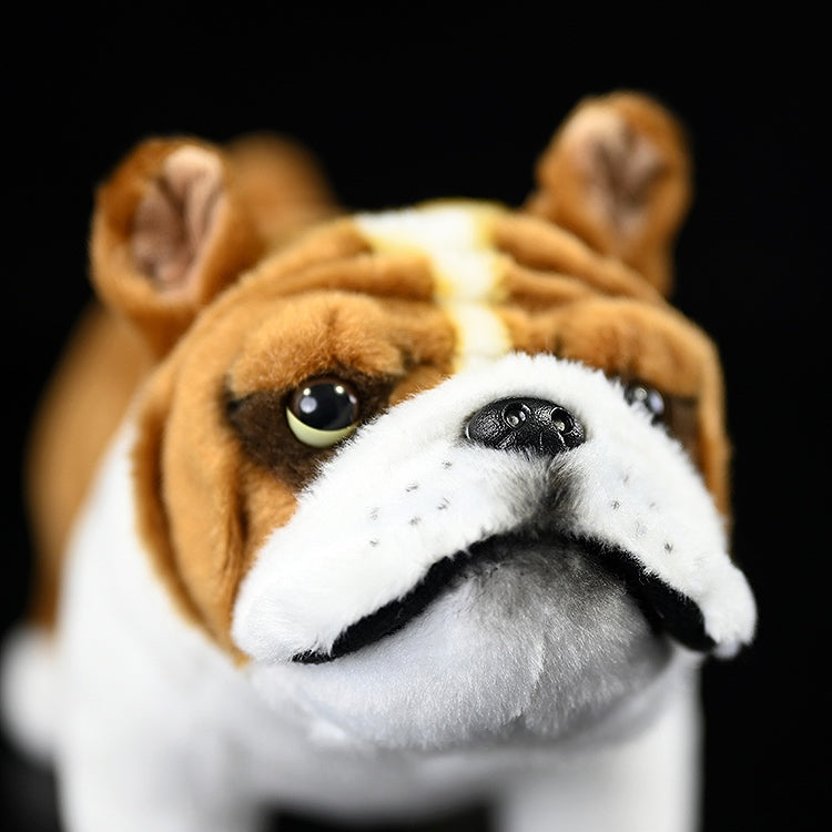 Close-up of a plush English Bulldog’s face, showing detailed wrinkles and adorable expression by SoftDaysLab