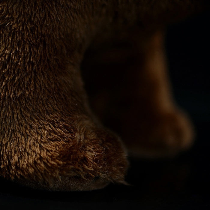 Close-up of the paw of a brown bear plush toy, emphasizing the soft and realistic texture