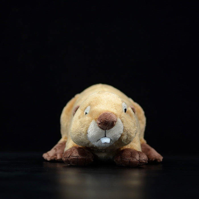 Front view of lifelike beaver plush toy showing its adorable face and teeth, crafted by SoftDaysLab