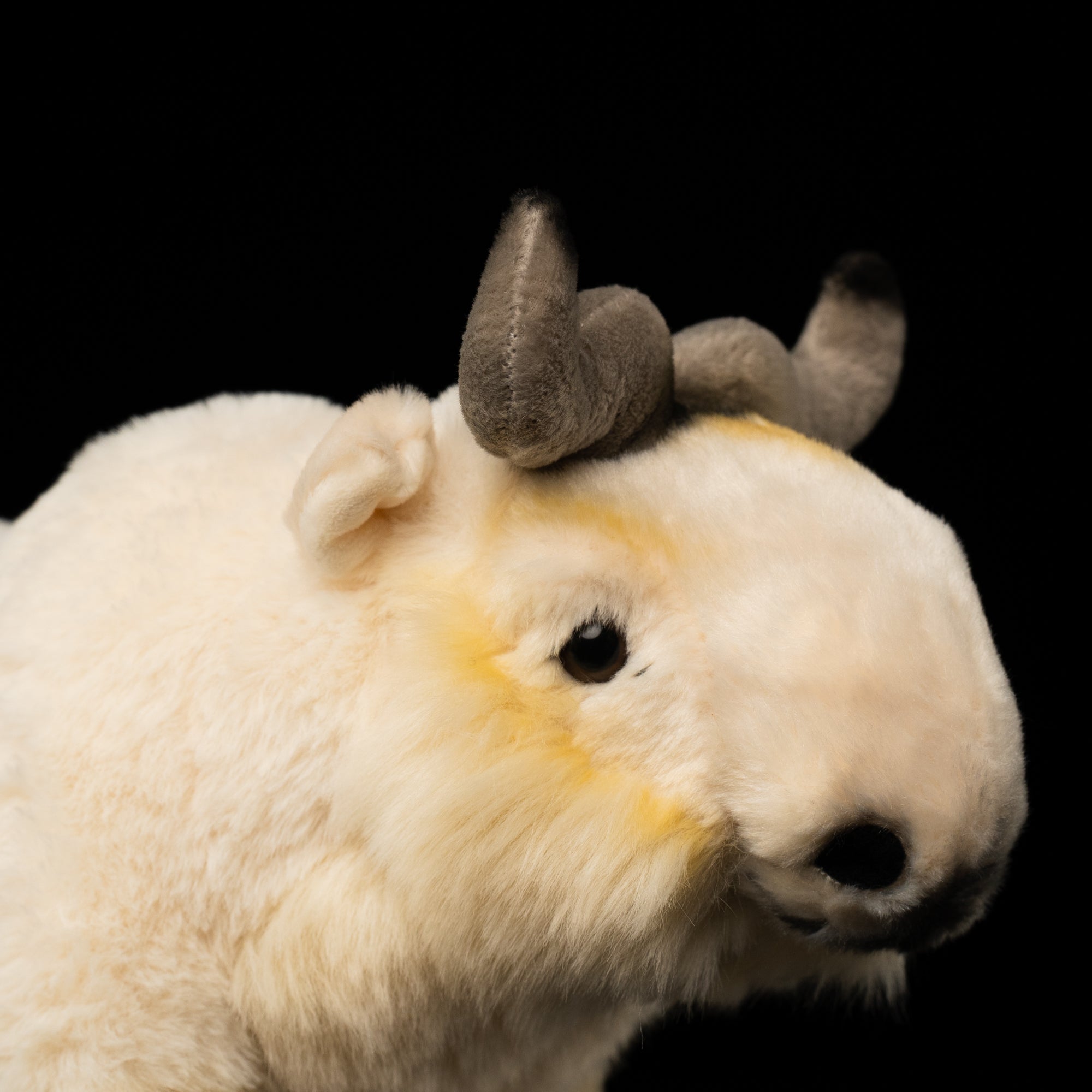 Close-up of takin plush toy's face by SoftDaysLab®, showcasing realistic eyes, horns, and soft fur texture