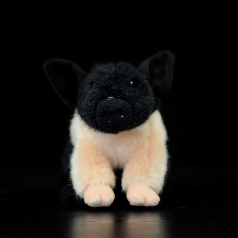 Front view of mini teacup pig plush showcasing realistic features and soft texture by SoftDaysLab