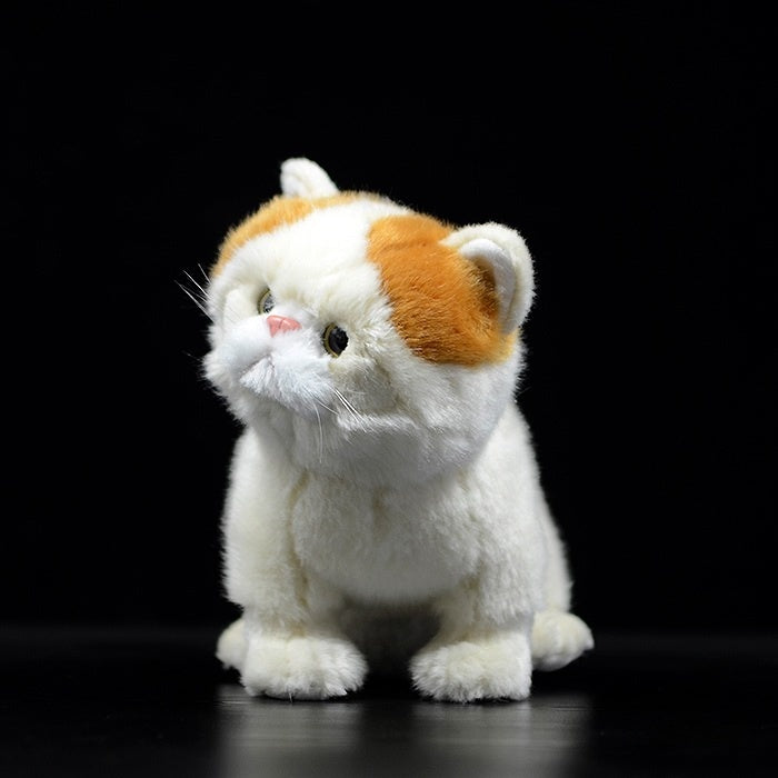 Adorable sitting pose of an orange and white Exotic Shorthair plush cat, a perfect gift for cat lovers by SoftDaysLab