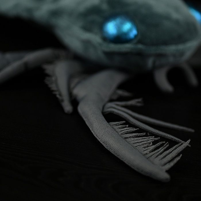 Detailed view of Megalograptus plush’s spiny and flexible appendages, perfect for prehistoric enthusiasts