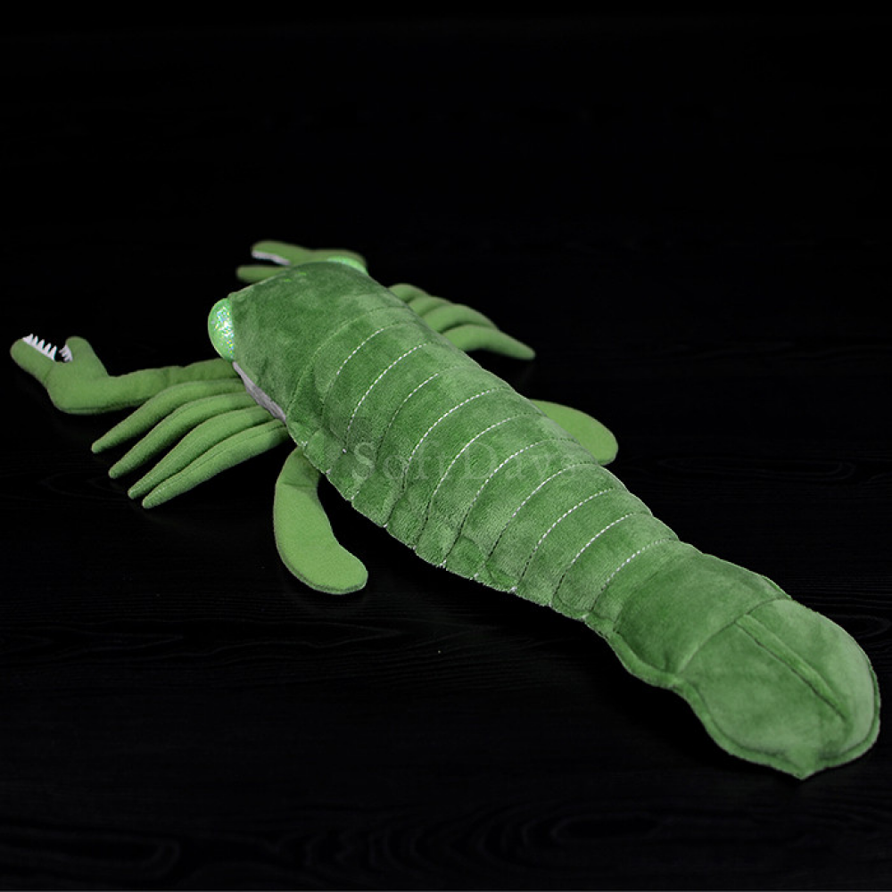 Top-down view of Pterygotus sea scorpion plush showing detailed segmented back by SoftDaysLab