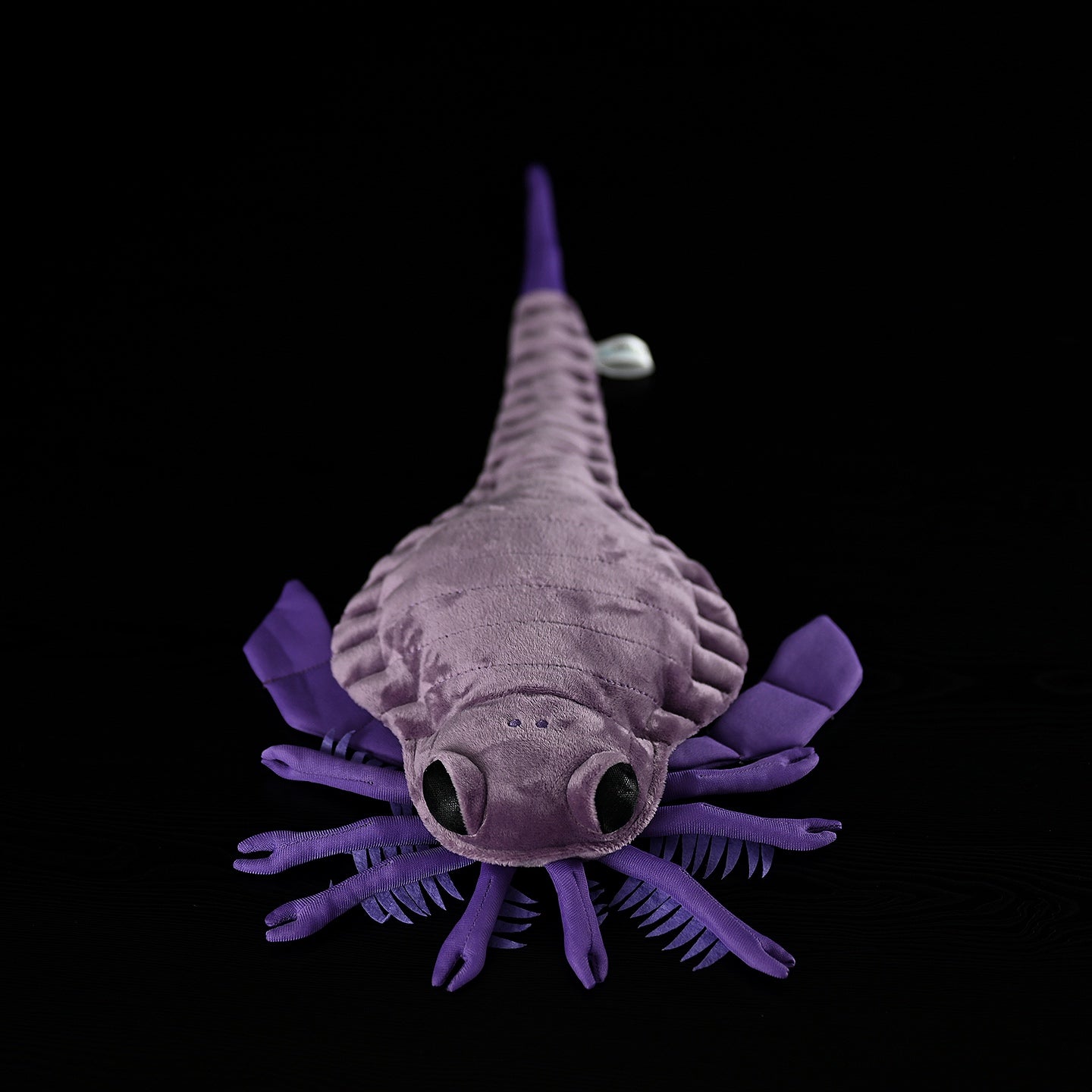 Top-down view of SoftDaysLab Carcinosoma plush toy, showcasing its segmented tail and detailed legs