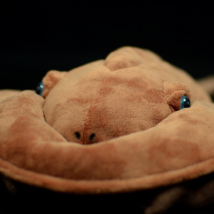 Close-up of the lifelike head of the Chinese horseshoe crab plush toy with realistic blue eyes by SoftDaysLab