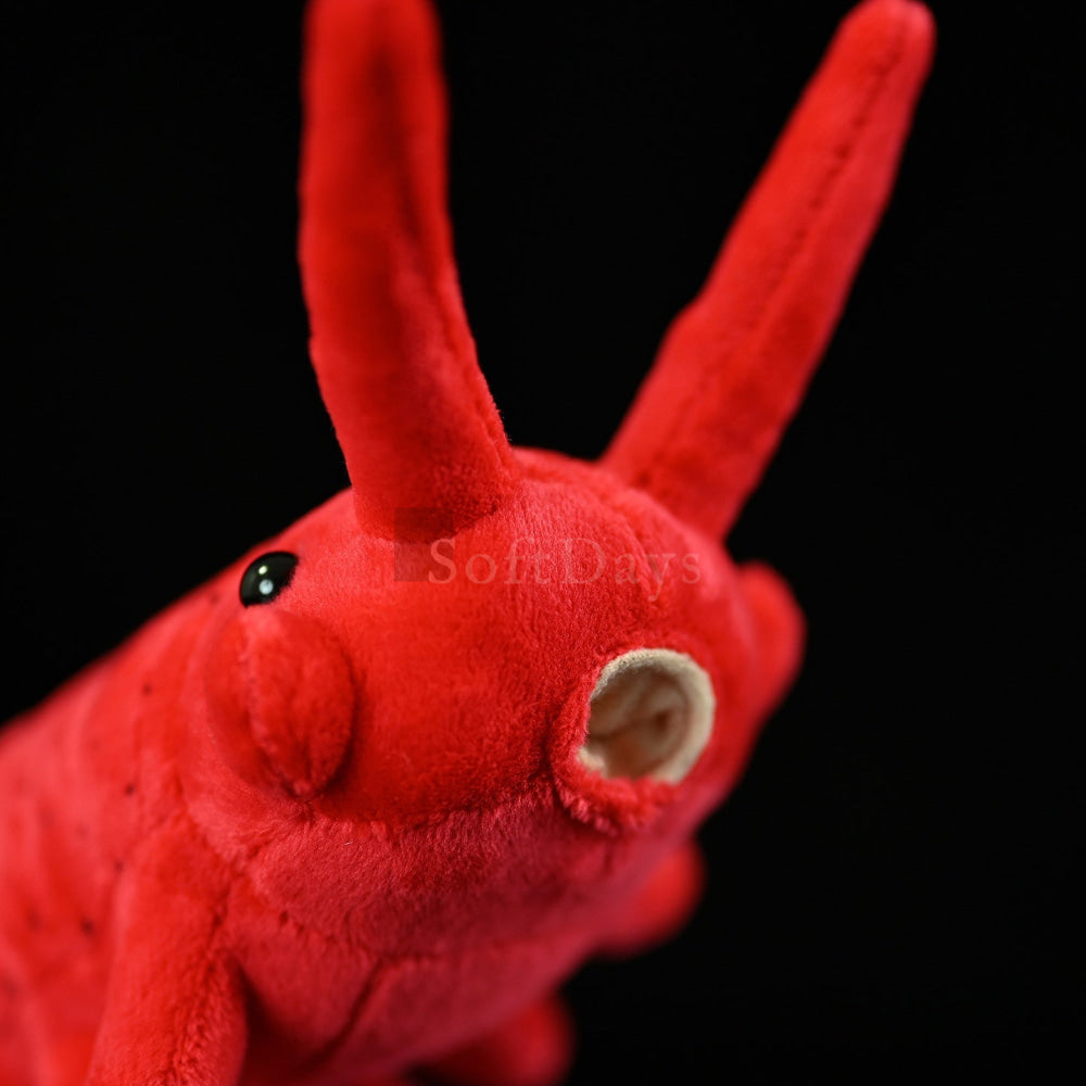 Lifelike Velvet Worm Plush Toy – Soft and Unique Invertebrate Stuffed Animal