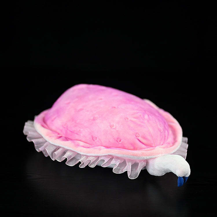 Angled view of the Kimberella plush toy with lifelike details, perfect for prehistoric animal lovers