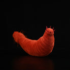 Ottoia Plush – Soft Stuffed Prehistoric Burrowing Worm Toy