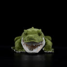 Front view of a realistic alligator plush toy, featuring sharp teeth and a soft green body