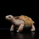Lifelike Galápagos giant tortoise Plush Toy – Soft and Realistic