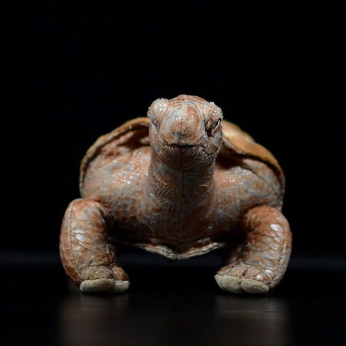 Front view of Galápagos tortoise plush, showcasing lifelike details and handcrafted quality