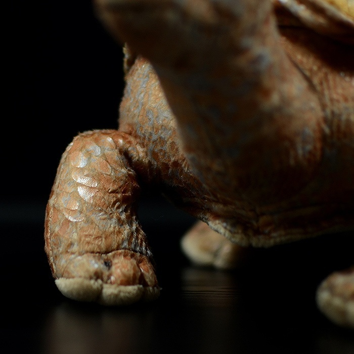 Underside of Galápagos tortoise plush toy, revealing detailed legs and durable plush construction