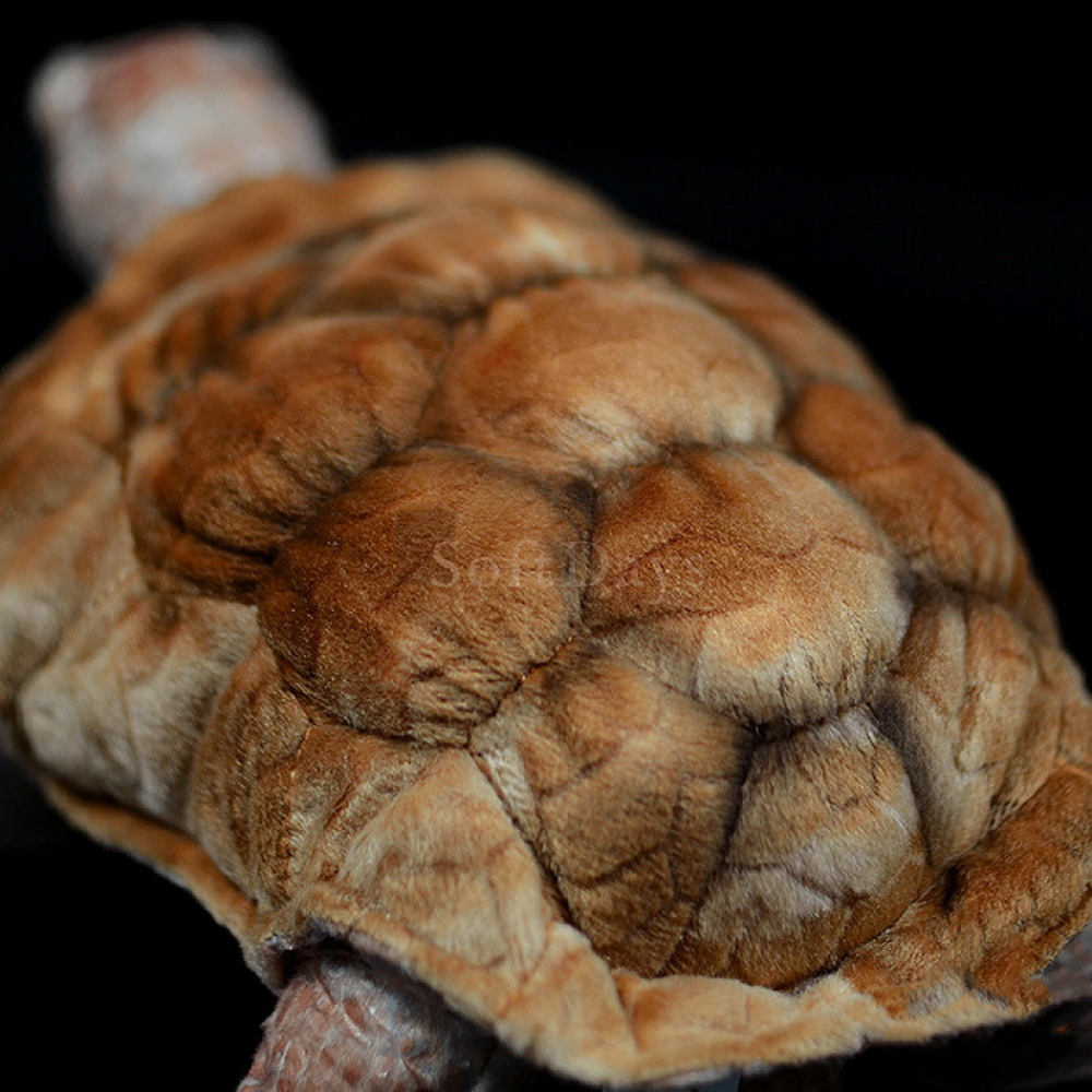 Close-up of Galápagos tortoise plush shell, featuring intricate and lifelike textures for realism