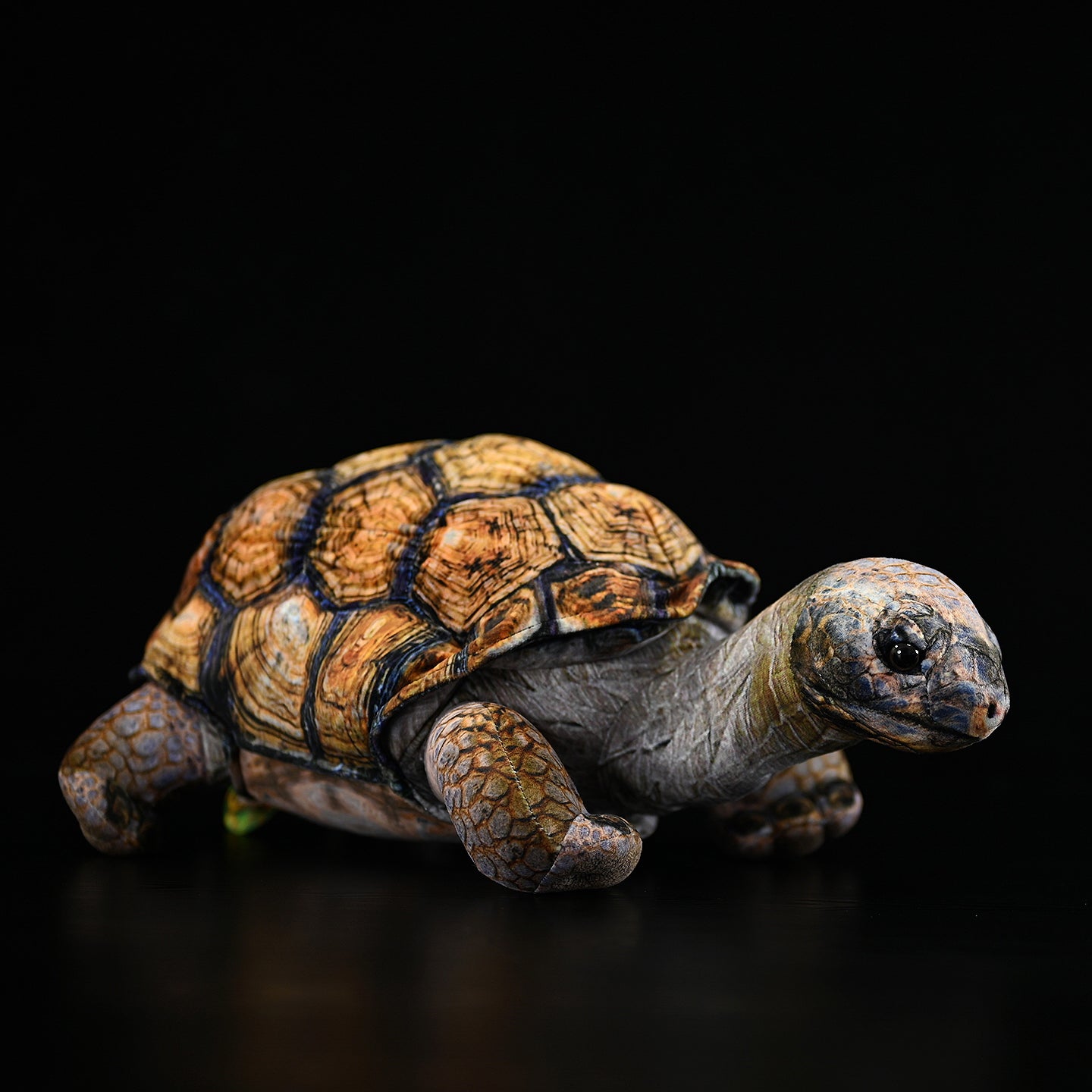 Realistic Galápagos giant tortoise plush by SoftDaysLab, detailed design, perfect for animal and nature enthusiasts