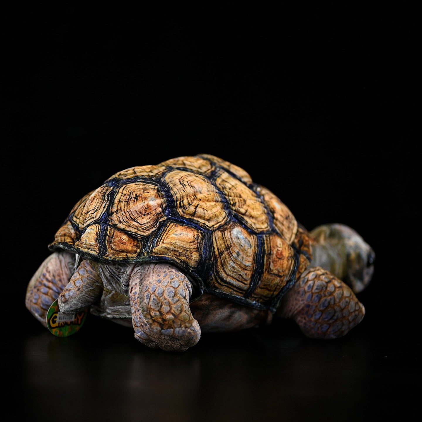 Back view of Galápagos giant tortoise plush, showing its naturalistic texture and realistic shell pattern