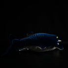 Himalayasaurus Ichthyosaur Soft Plush Toy – Perfect for Marine Reptile Lovers