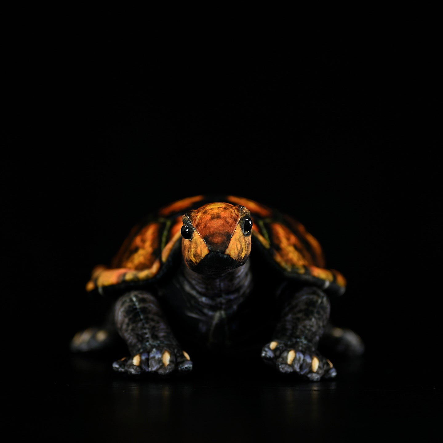 Front view of Japanese pond turtle plush with detailed head and lifelike features, perfect for nature enthusiasts