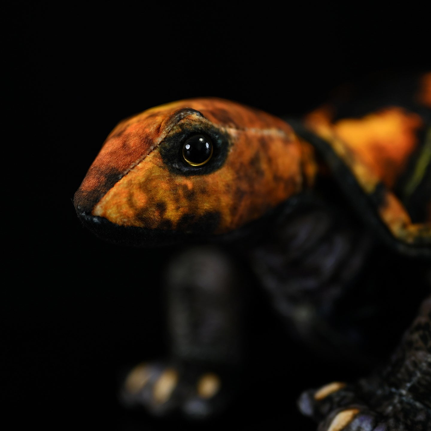 Close-up of Japanese pond turtle plush head with lifelike eyes and detailed craftsmanship