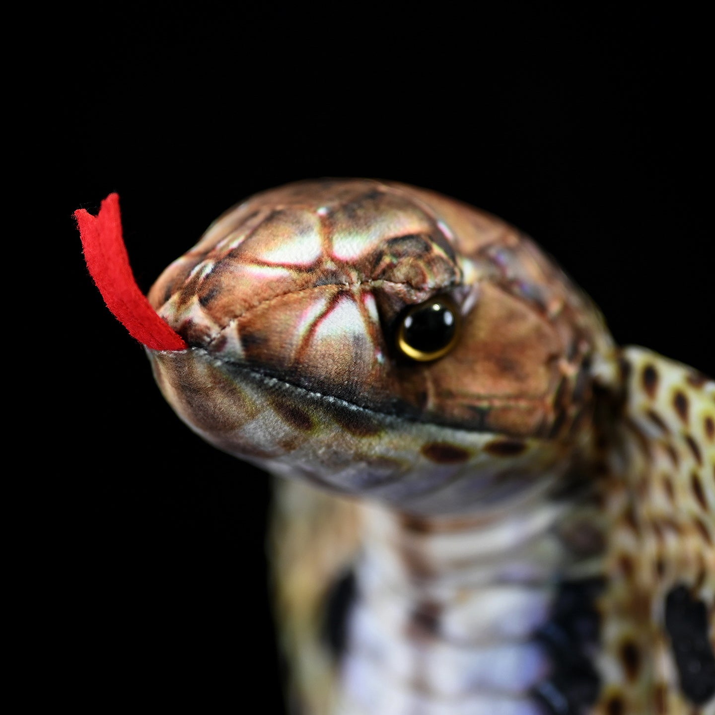 Close-up of the monocled cobra plush toy’s detailed head and tongue, showcasing its lifelike craftsmanship