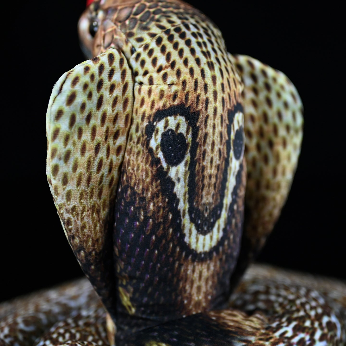 Close-up of the realistic hood pattern on the monocled cobra plush toy, featuring its iconic "monocle" design
