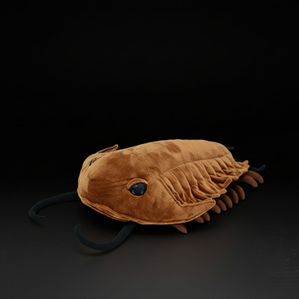 Angled view of Redlichiida trilobite plush toy highlighting its segmented body and legs by SoftDaysLab