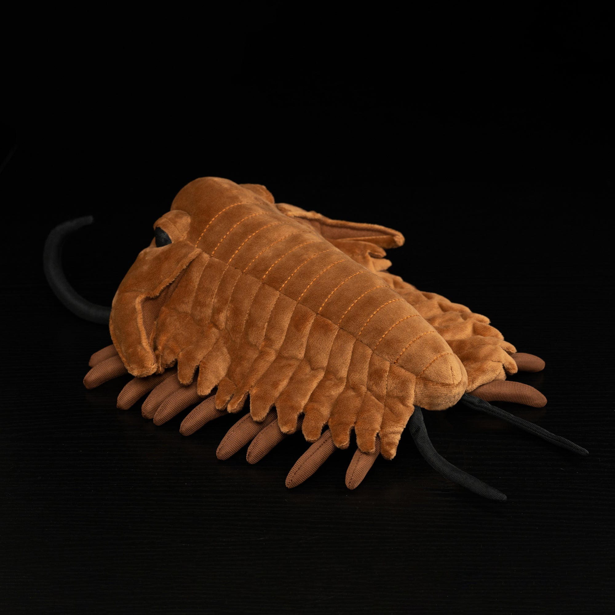 Rear view of Redlichiida trilobite plush toy showcasing lifelike tail and segmented features