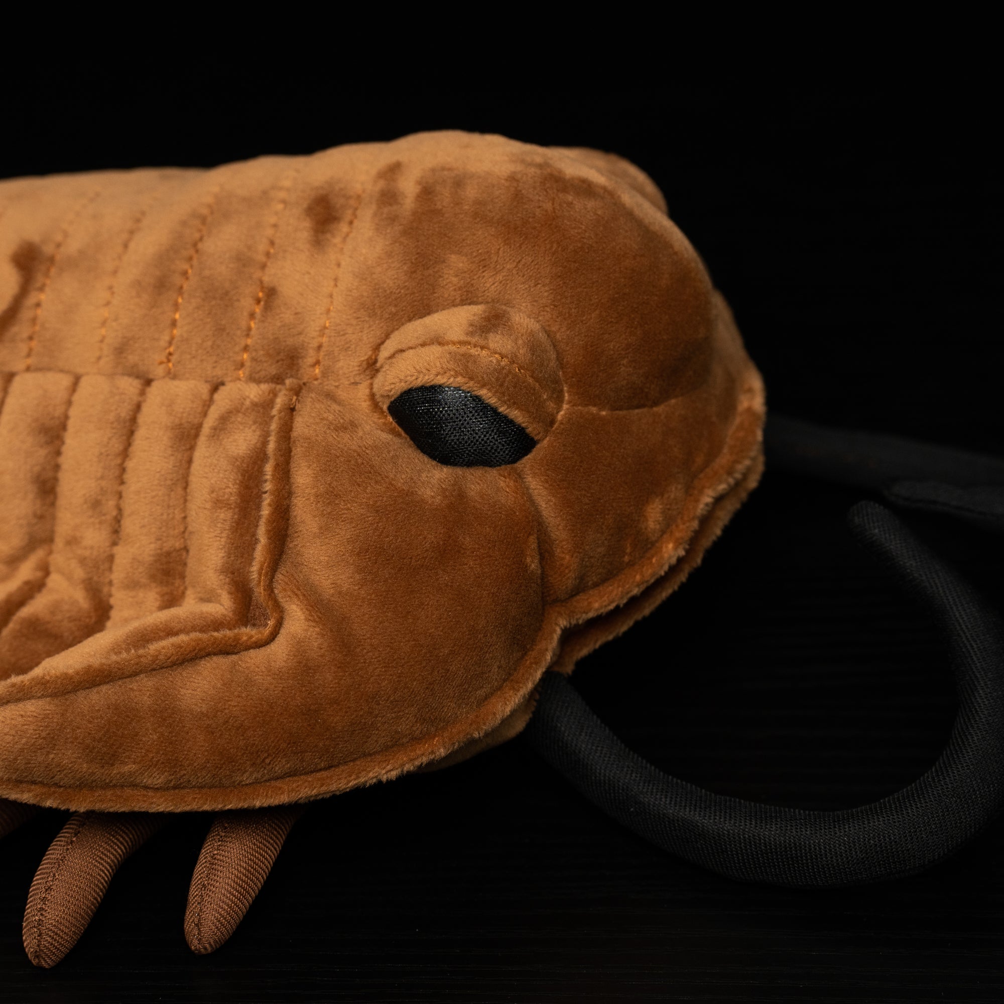 Side close-up of a Realistic Redlichiida Trilobite Plush, featuring embroidered eyes and prehistoric-inspired design