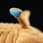 Realistic Asaphus Kowalewskii Trilobite Plush Toy – Soft, Unique, and Perfect for Prehistoric Enthusiasts