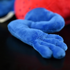 Detailed view of Strawberry Poison Dart Frog plush’s blue foot, made with soft and durable fabric