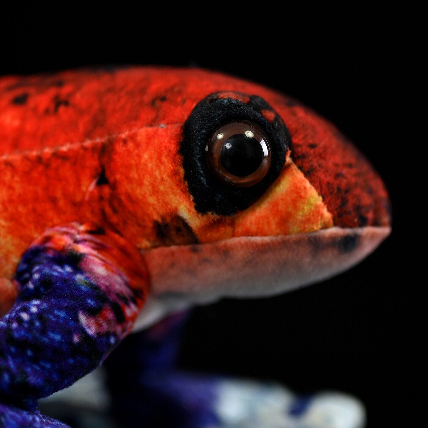 Close-up of Strawberry Poison Dart Frog Plush face with vibrant colors and lifelike design by SoftDaysLab