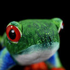 Close-up of a red-eyed tree frog plush from SoftDaysLab, showcasing realistic green textures and vivid red eyes