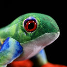 Close-up of Red-Eyed Tree Frog Plush’s realistic red eye and intricate facial details
