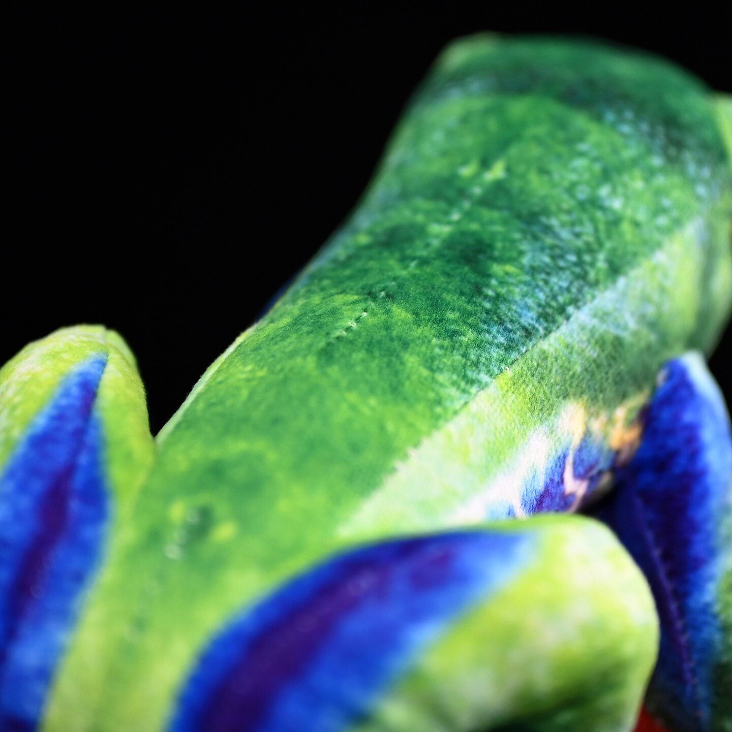 Detailed shot of Red-Eyed Tree Frog Plush’s vivid orange feet and textured body