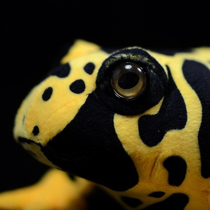 Zoomed-in image of the plush frog’s eye, showcasing lifelike design and glossy finish