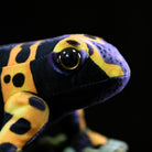 Close-up face of a Yellow-Banded Poison Dart Frog Plush, showcasing vibrant yellow and black details