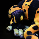 Close-up foot detail of Yellow-Banded Poison Dart Frog Plush showing life-like textured design patterns