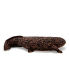 Full-body view of lifelike Chinese Giant Salamander plush by SoftDaysLab, perfect for nature lovers and collectors