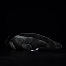 Back view of Black Melanoid Axolotl Plush Toy by SoftDaysLab, soft texture and realistic design