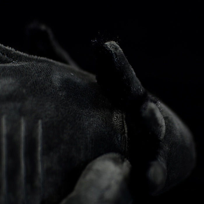 Detailed look at the gills of Black Melanoid Axolotl Plush Toy by SoftDaysLab, realistic and soft