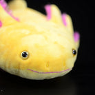 Close-up of the Golden Albino Axolotl plush's cute face, featuring expressive eyes and delicate gills