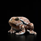 Realistic Japanese Common Toad Plush by SoftDaysLab, showcasing lifelike details on a black backdrop