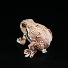 Back view of Japanese Common Toad plush, displaying its detailed warty texture and lifelike posture